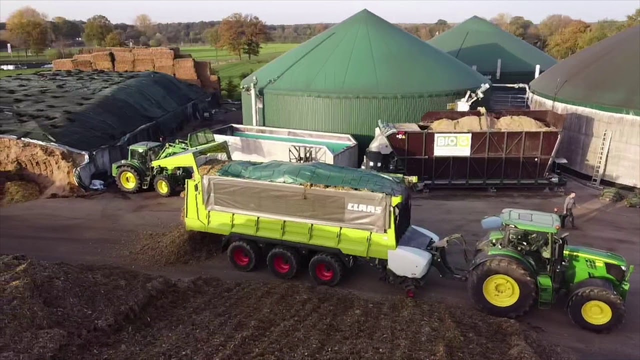 Maisstroh für die Biogasanlage
