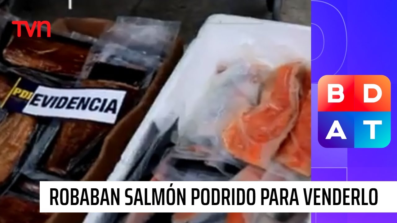 Reportajes BDAT: Vendían pescado podrido como filetes de alta calidad | Buenos días a todos