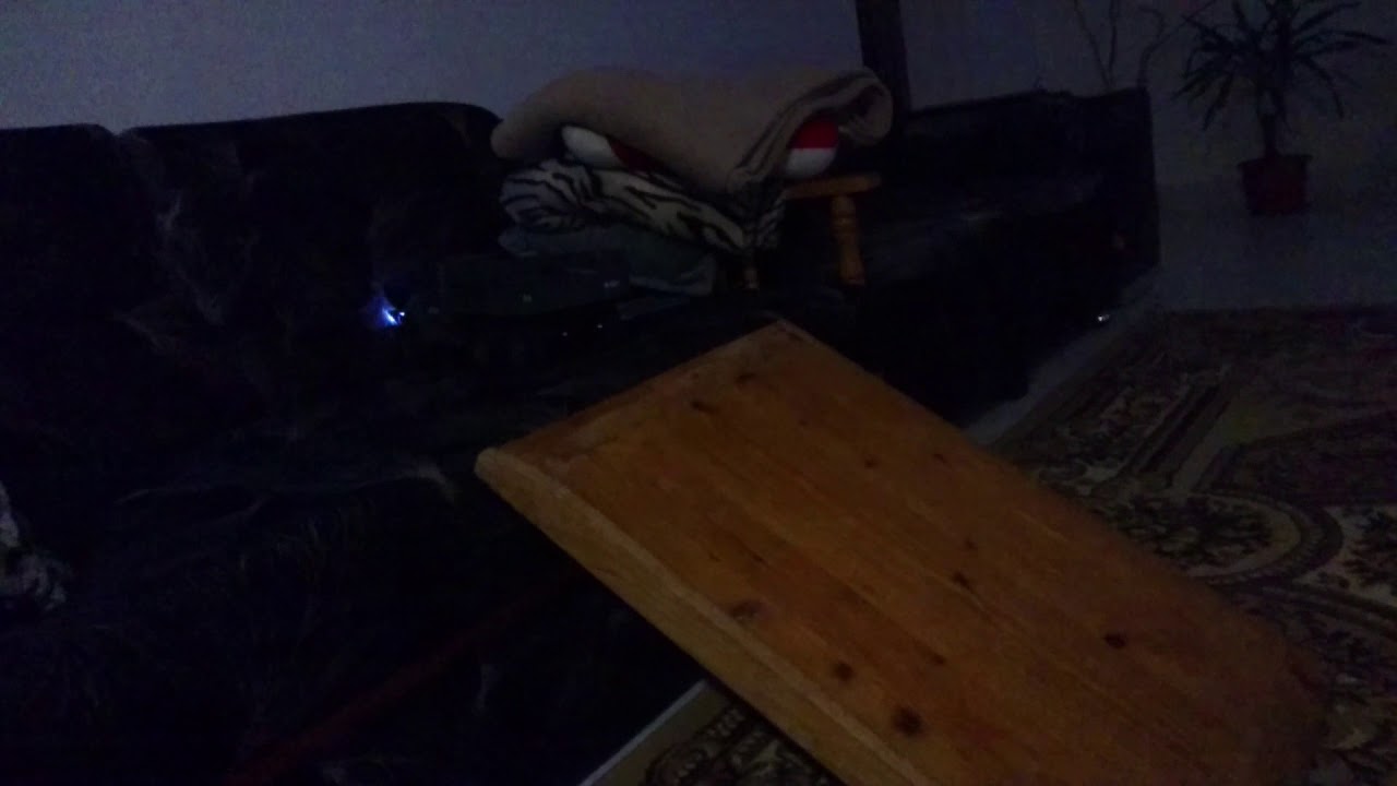 Mz yy 2004