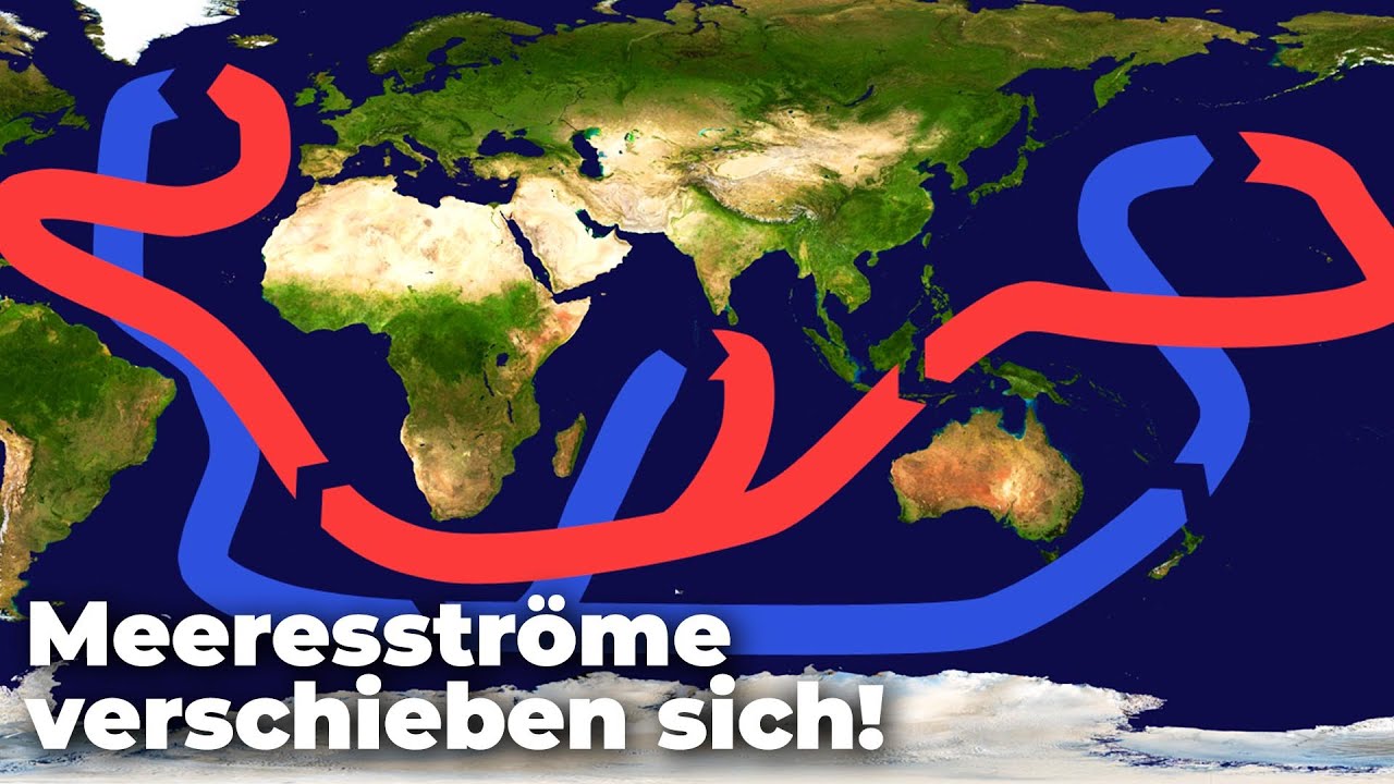 &Ouml;kosysteme bedroht: Meeresstr&ouml;mungen verschieben sich zu den Polen - Clixoom nature