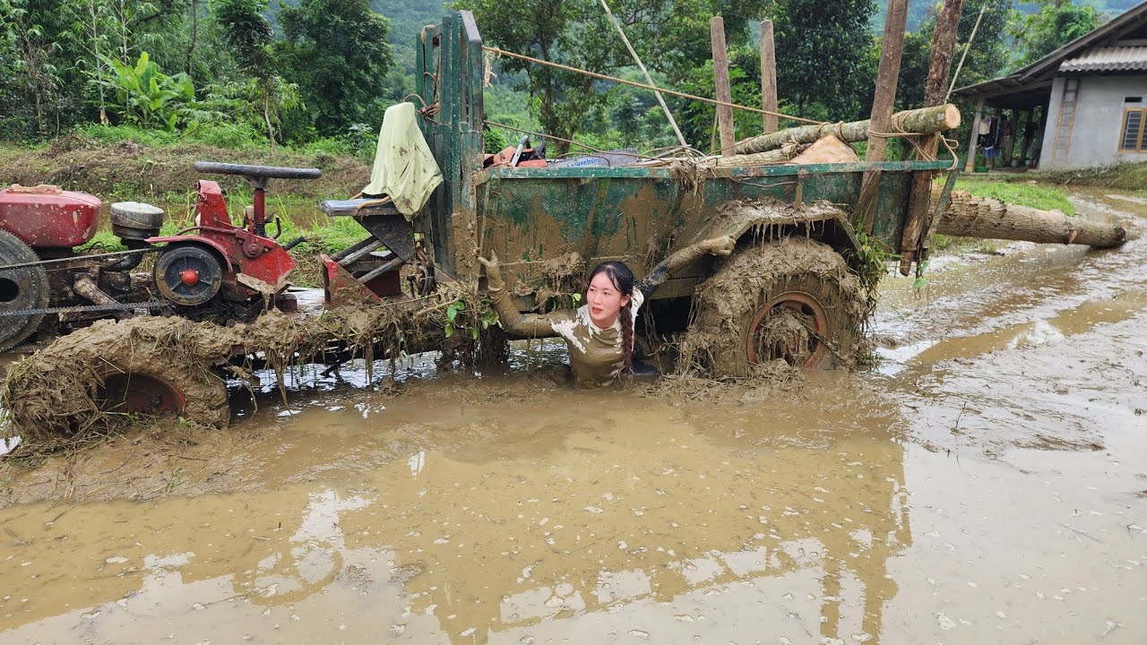 Agricultural vehicle transporting wood girl driving record