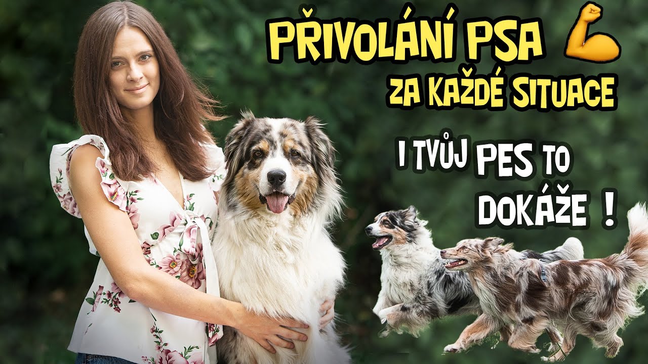 PŘIVOLÁNÍ PSA za Každé Situace - Tipy&Triky, jak naučit povel KE MNĚ spolehlivě