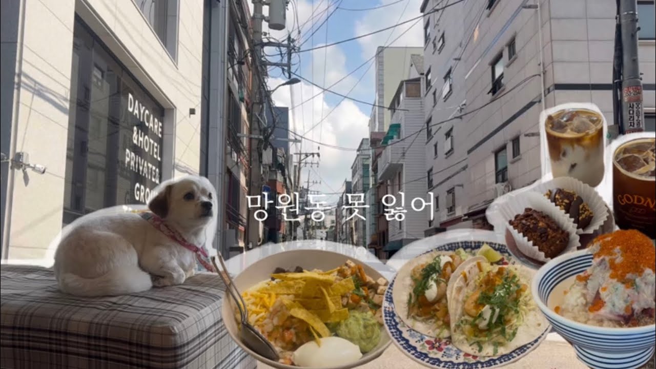 망원동이 좋은 이유ㅣ카이센동 맛집ㅣ타코 맛집