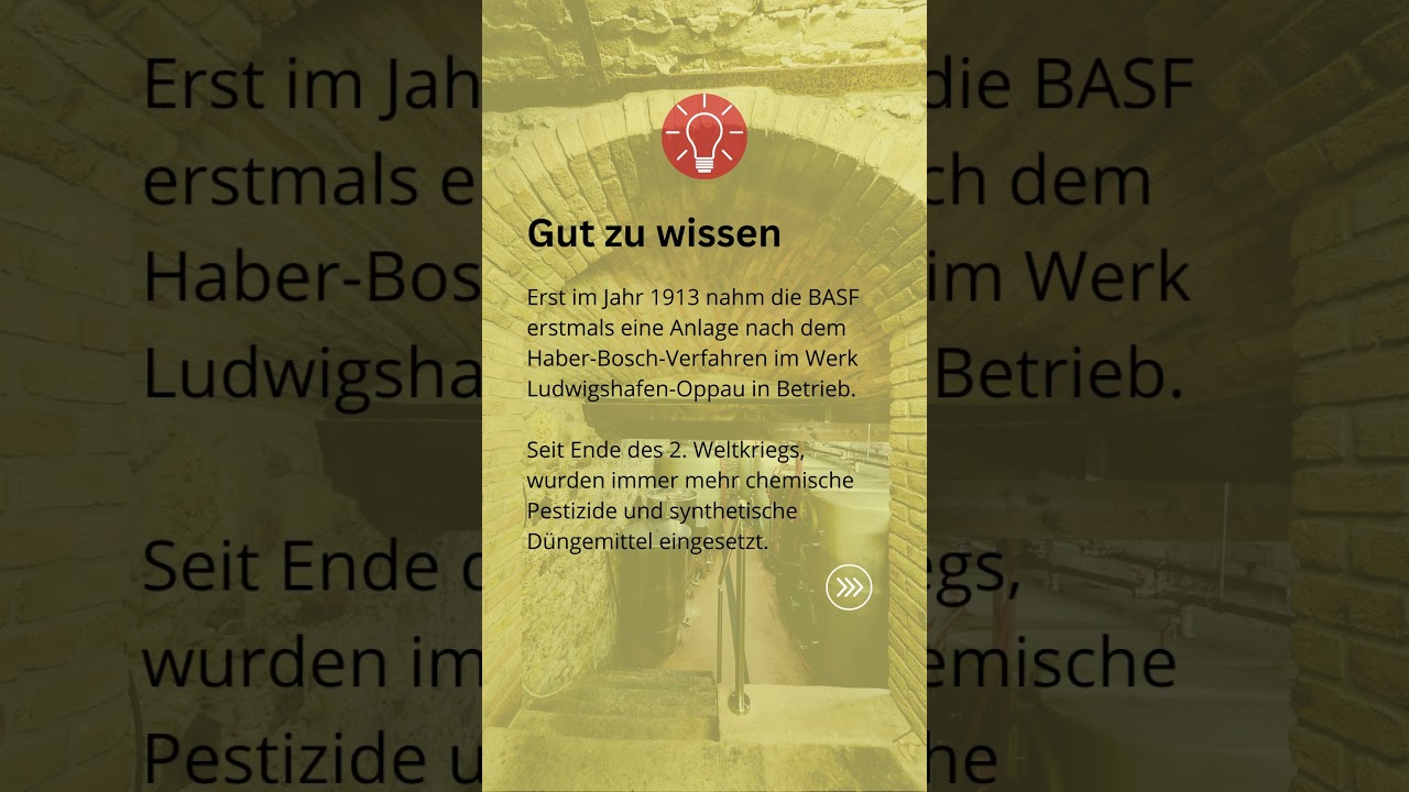 Keller Geheimnisse - D&uuml;ngen #shorts