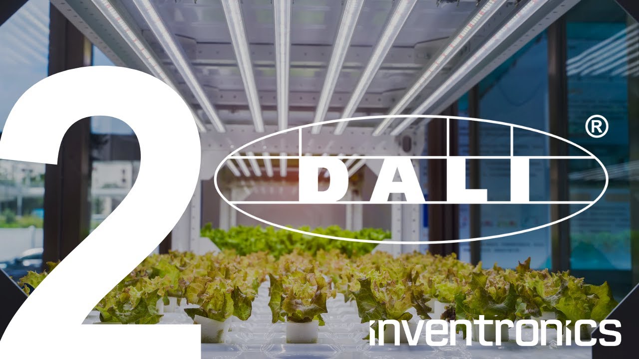 Inventronics - Le protocole DALI, Partie 2/4 - Le DALI-2