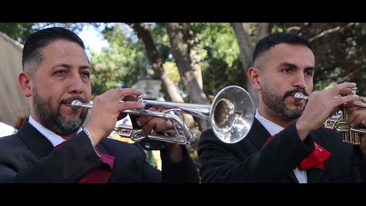 Me Estoy Muriendo (Preview Oficial) | Briti Records