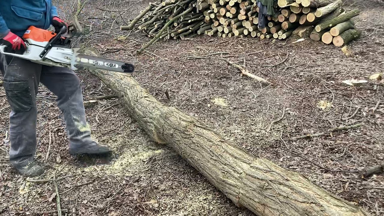 Stihl ms462 c-M