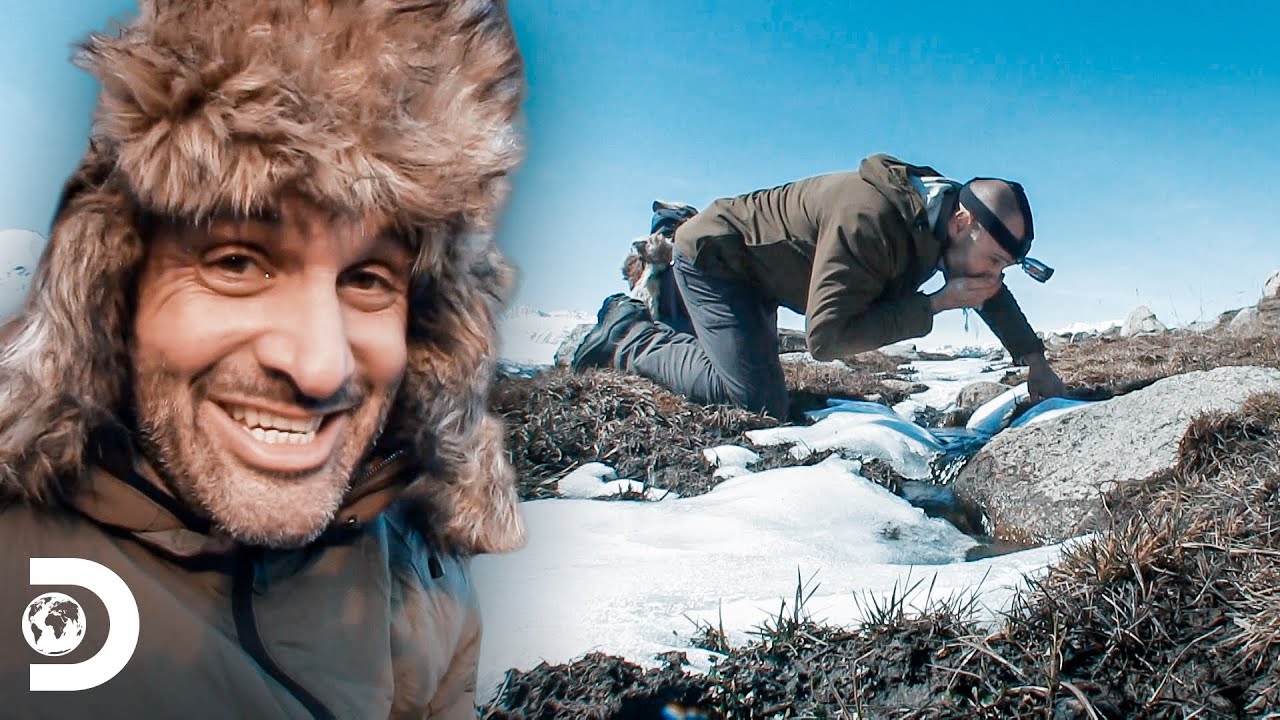 Fome e ventos congelantes em doses extremas | Ed Stafford: Desafio Mortal | Discovery Brasil
