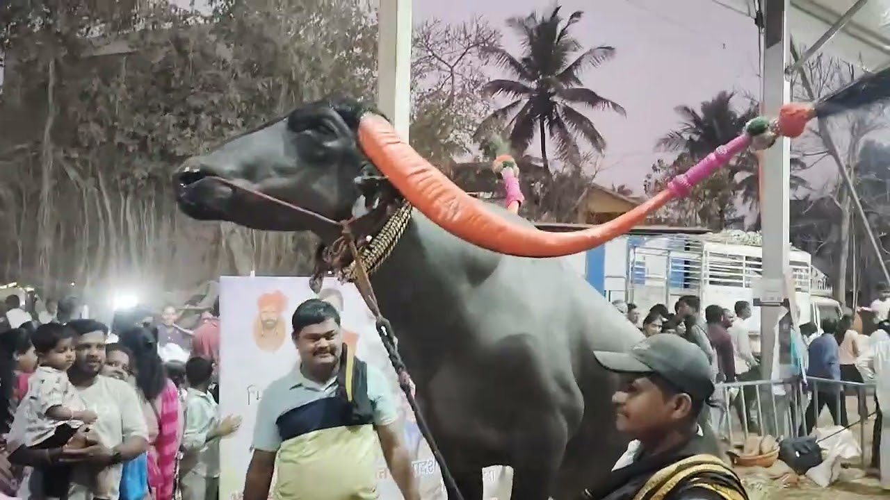 Bhima Krushi Pradarshan 2026 | भीमा कृषी प्रदर्शन कोल्हापूर | Kolhapur | Bhima krushi Pradarshan