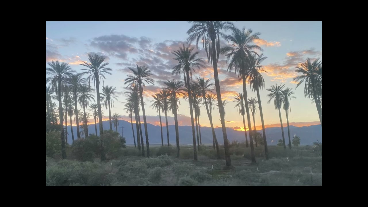 Desert nights