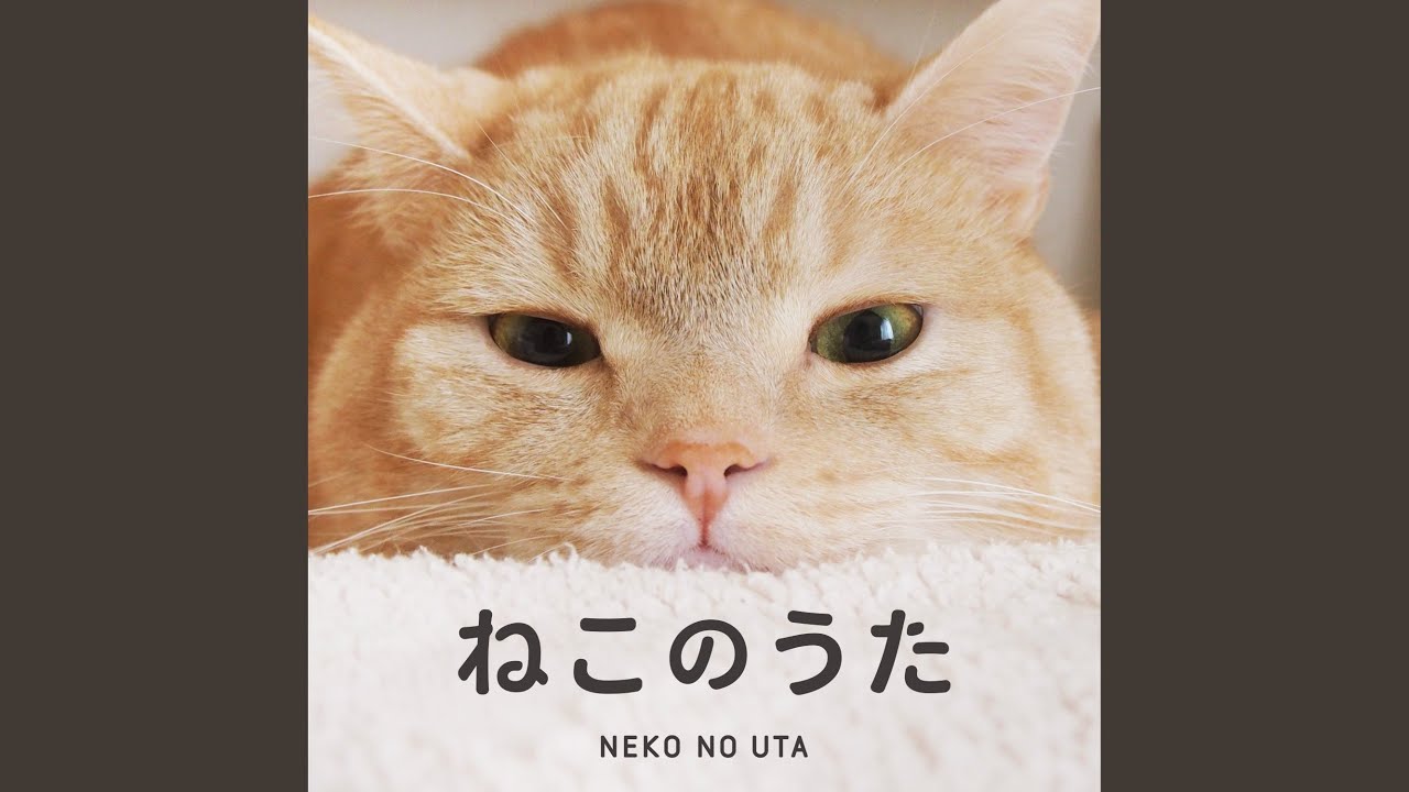 ロンサム・キャット