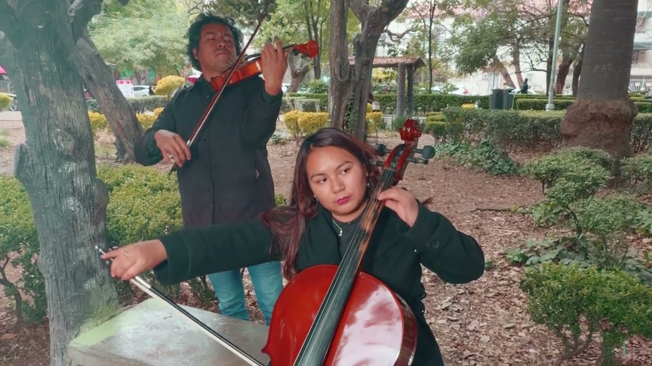 Violinista - Dueto de cuerdas para Eventos