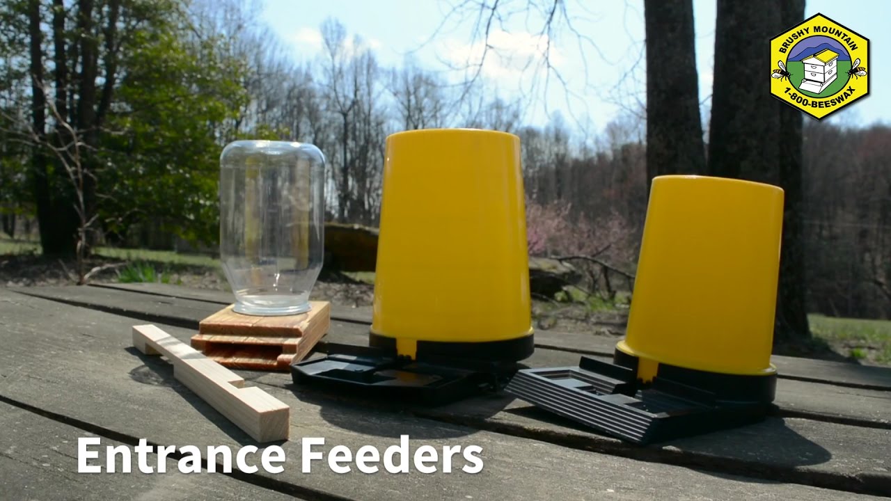 Entrance Feeders