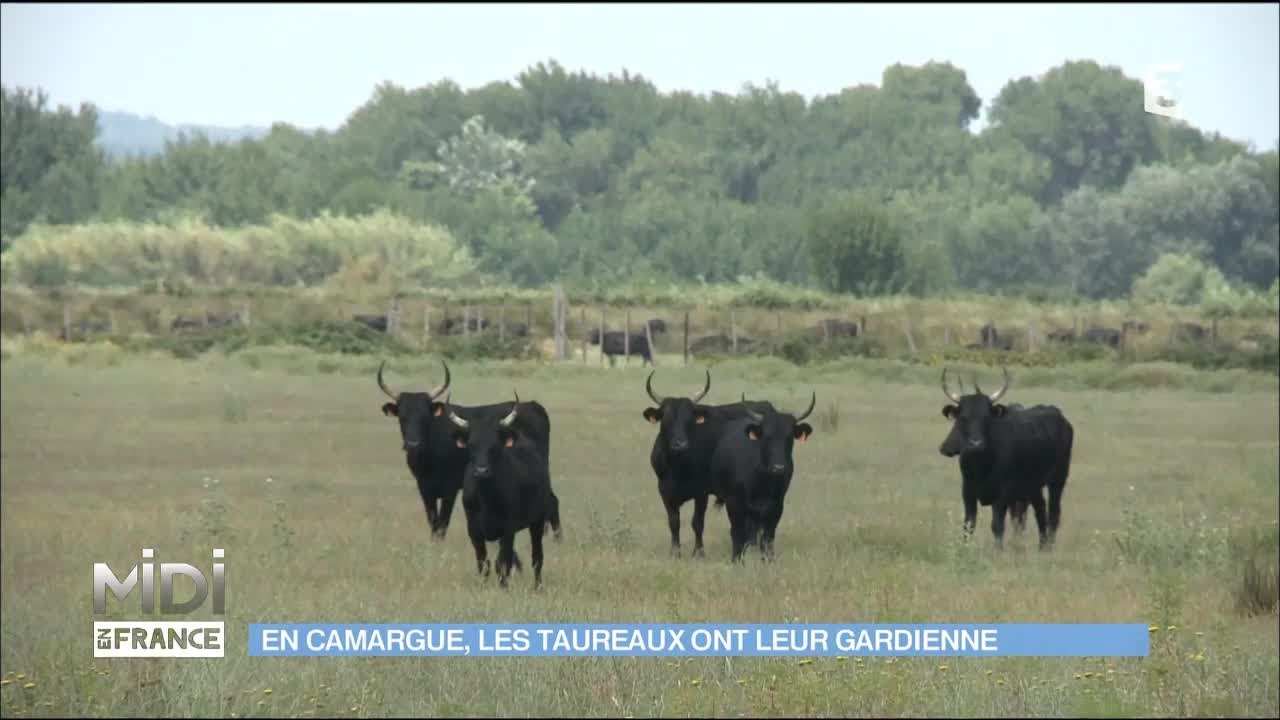 Découvrez le métier de Manadière