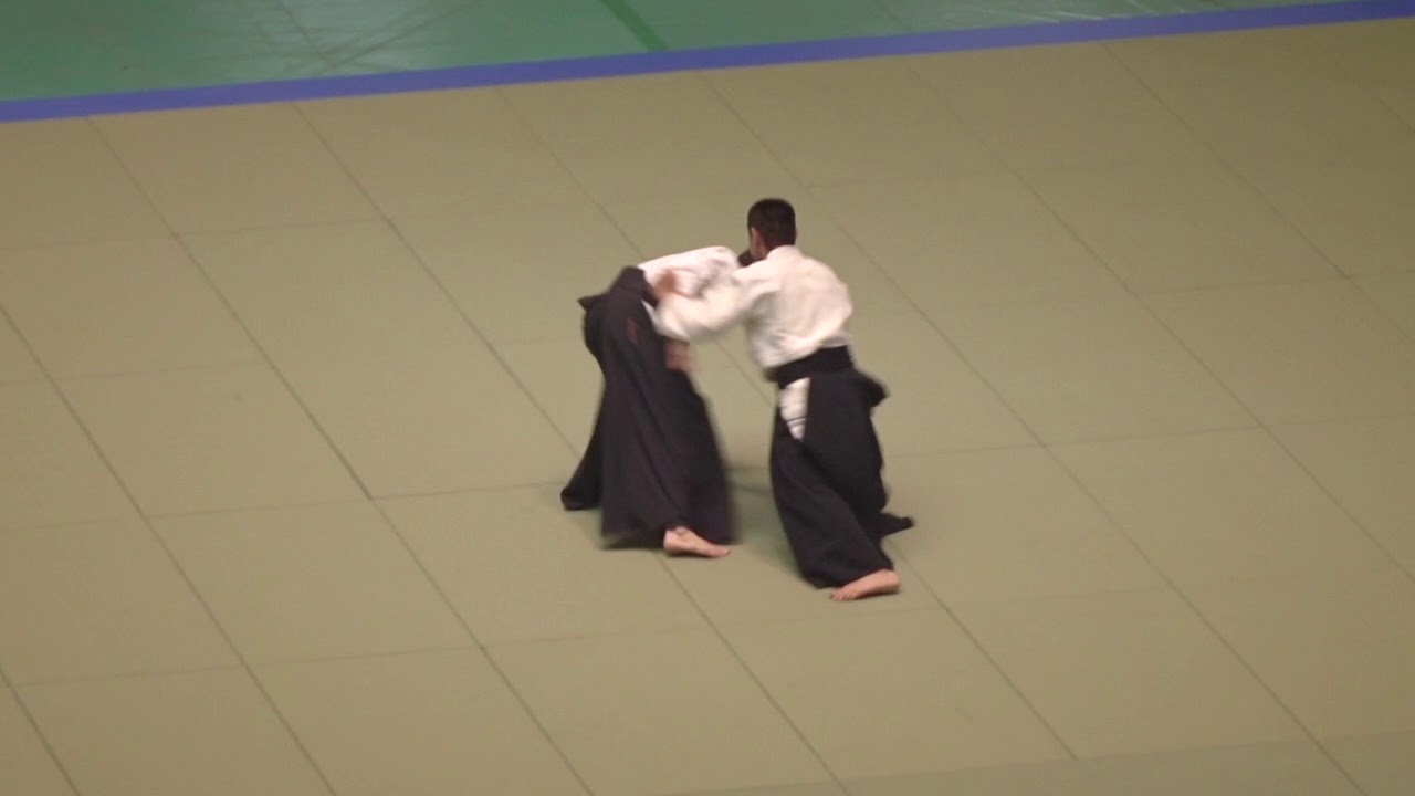 Fujimaki Shihan, 2019 All Japan Aikido Embukai