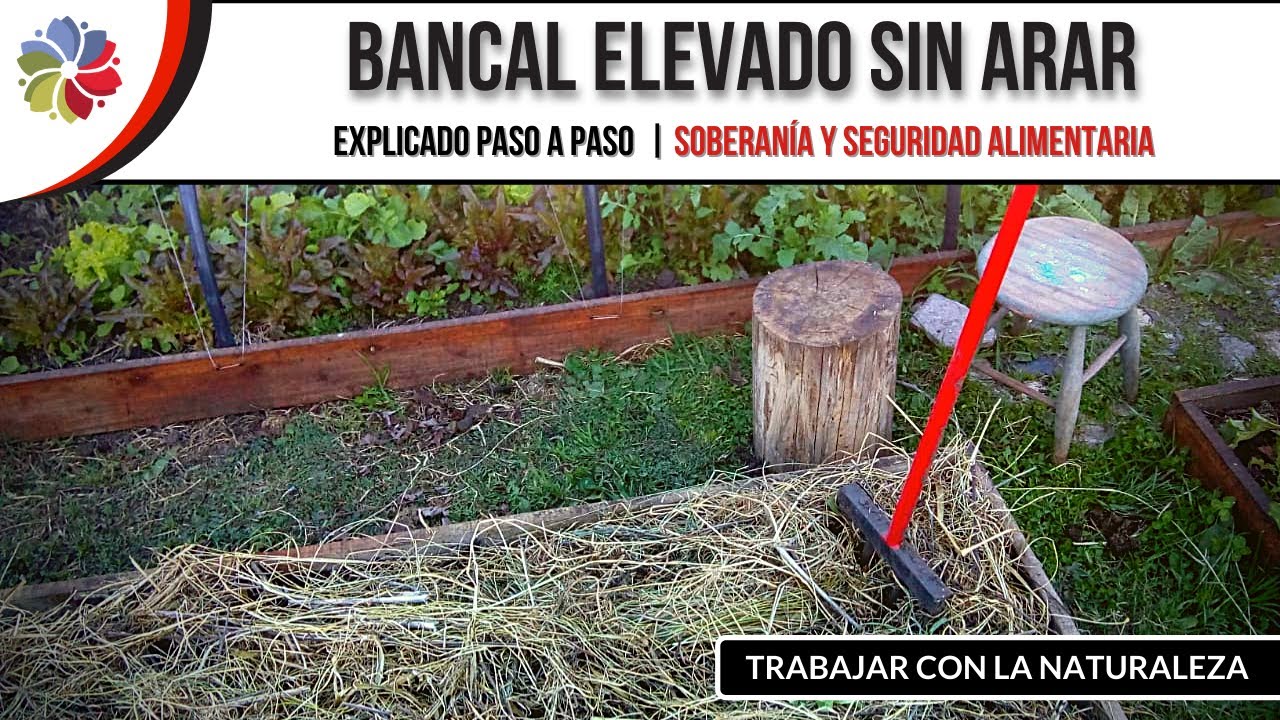 🔨 Como hacer BANCALES ELEVADOS | SIN ARAR LA TIERRA | Bancal de madera explicado paso a paso