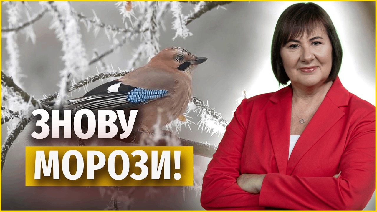 Циклон залишає територію України – опади припиняться | Прогноз погоди на 16 лютого