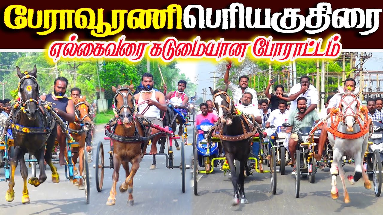பேராவூரணி பெரியகுதிரை 27.01.2026
