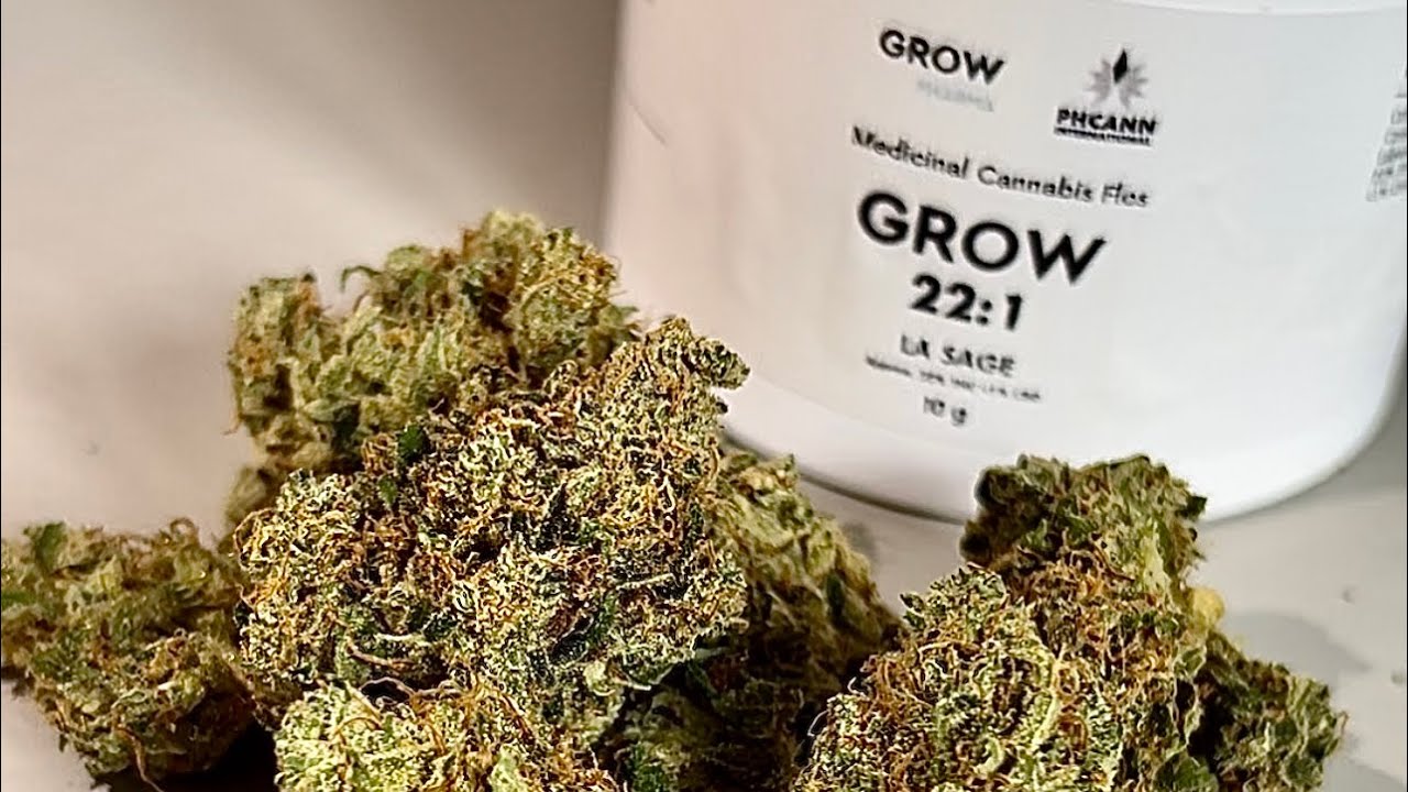 GROW 22:1 LA SAGE 40% Indica 60% Sativa 1st impressions (Legal Medical Cannabis)