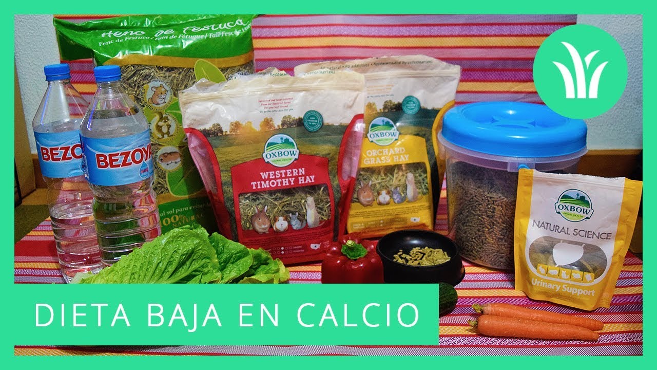 🌿 ALIMENTACIÓN / DIETA BAJA EN CALCIO Y OXALATOS PARA COBAYAS ADULTAS (+6 meses) 🐹🥗📉
