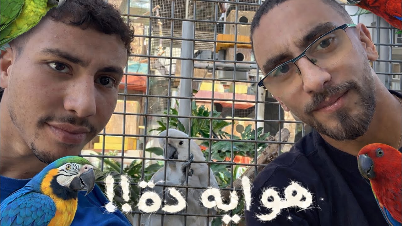 حديقة الحيوان فتحت ولا ايه!..51ST VLOG#