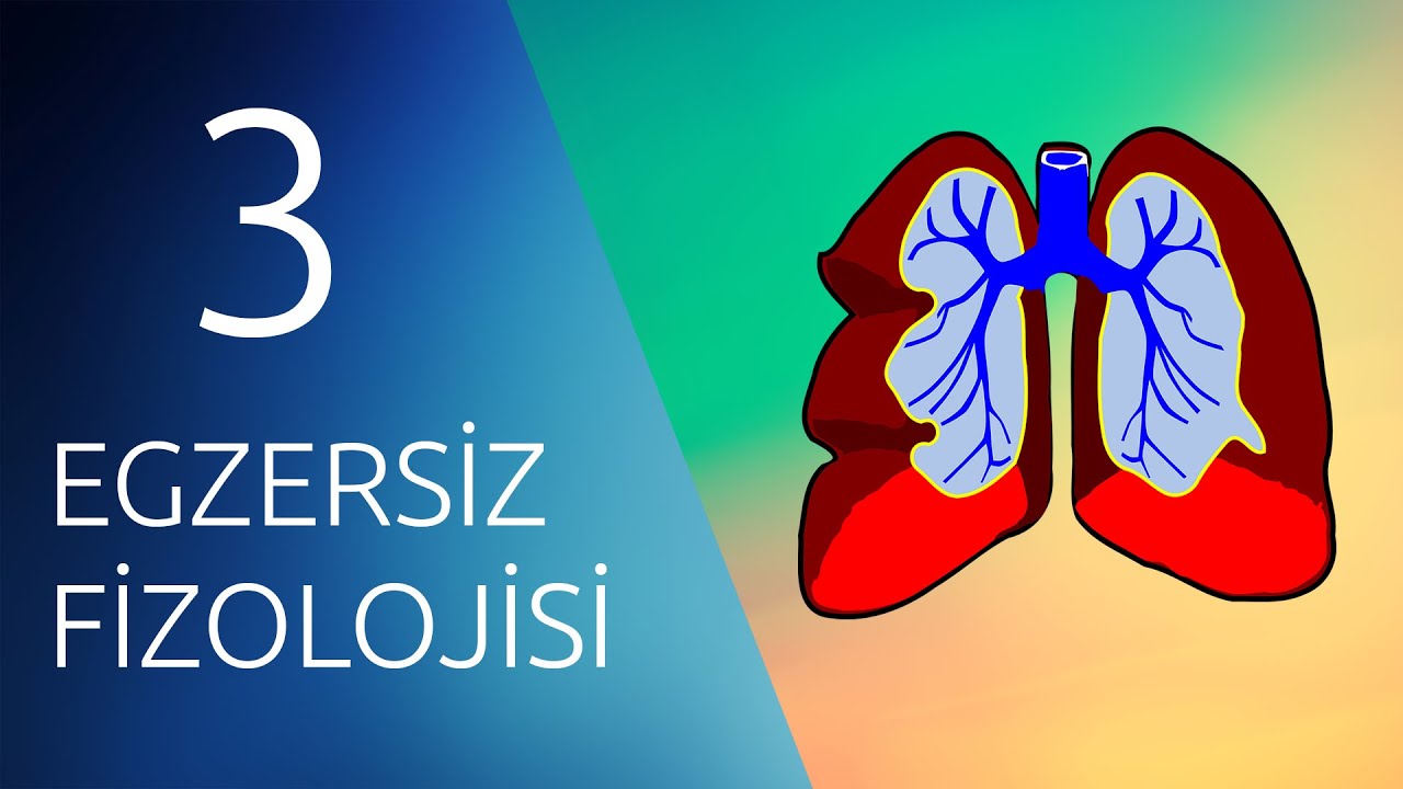 EGZERSİZ FİZYOLOJİSİ #3 #Solunum ve #Egzersiz