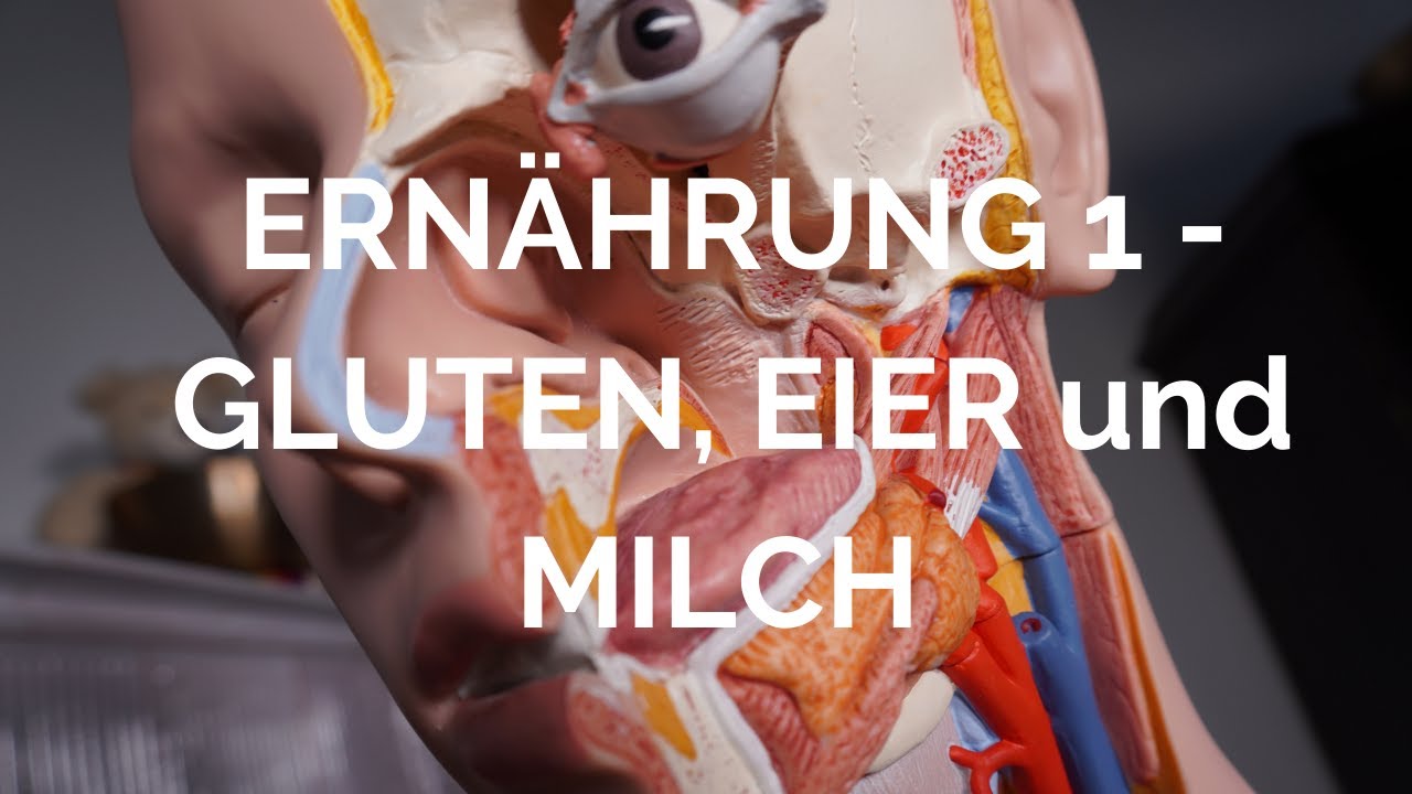 Ernährung Teil 1 - Gluten, Eier und Milchprodukte