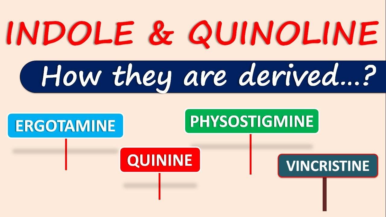 Indole and Quinoline alkaloids | How they are derived