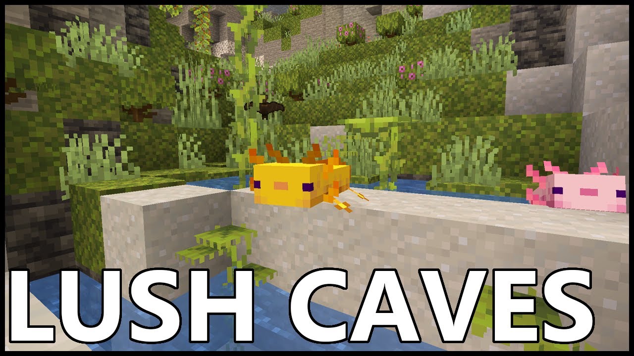 Where To Find LUSH CAVES In MINECRAFT 1.18