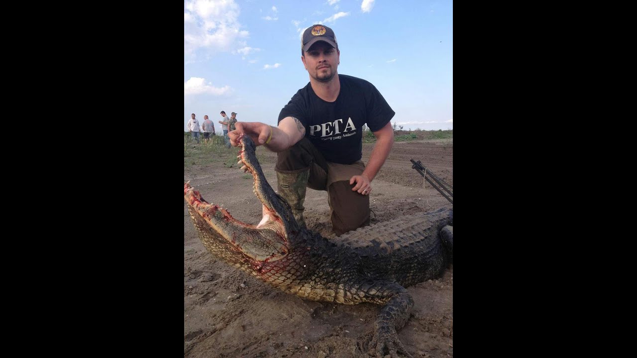 Florida Alligator Hunt 
