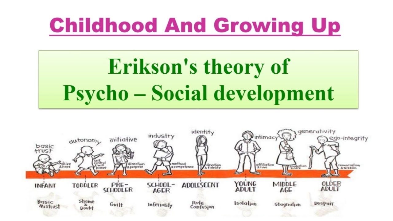 Erikson's theory of Psycho -Social Development/Theories of child development /Childhood & Growing Up