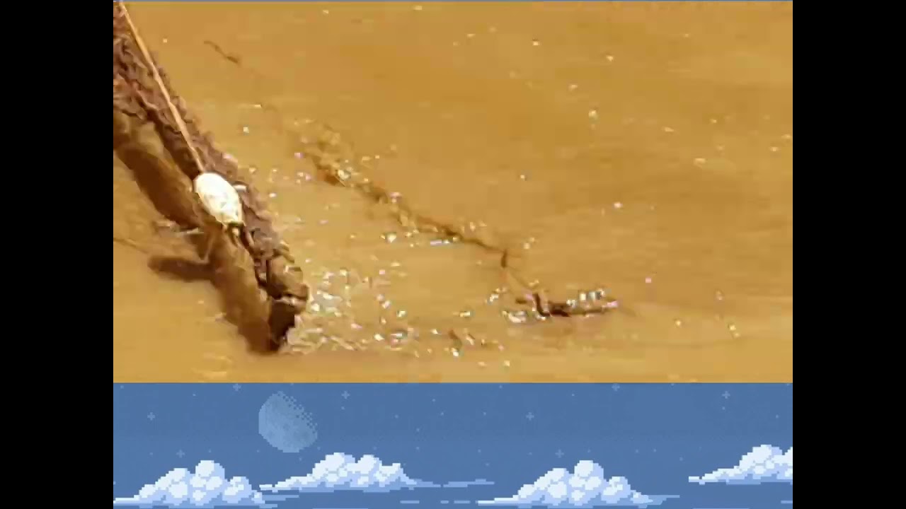 ♧Aventuras na Ro&ccedil;a♧