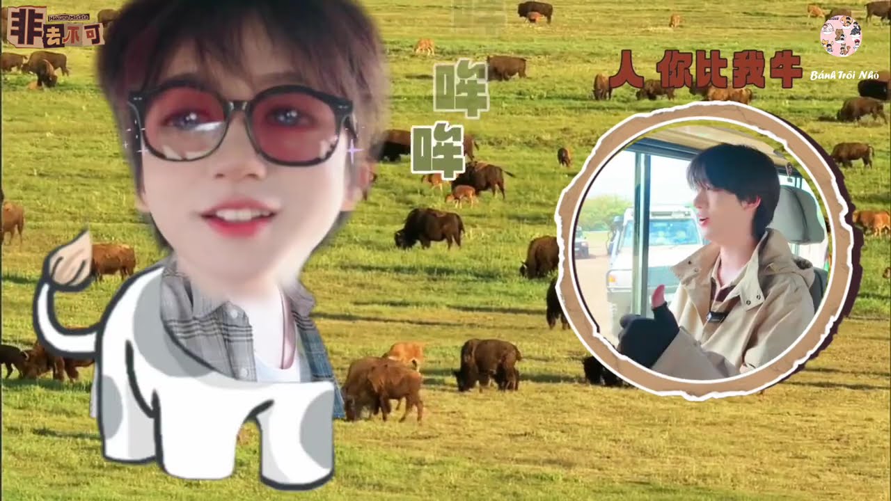 Vietsub Phim Tài Liệu TNT : Vlog Không Đi Không Được EP 05|TNT Thời Đại Thiếu Niên Đoàn