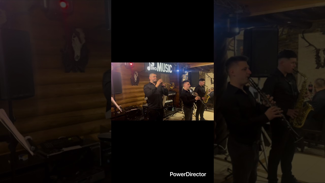 Formația ProMusic Botoșani ( Banat instrumental 2026)