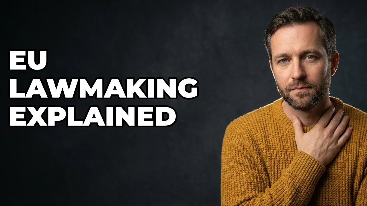 What Is The European Parliament's Role In Brussels?