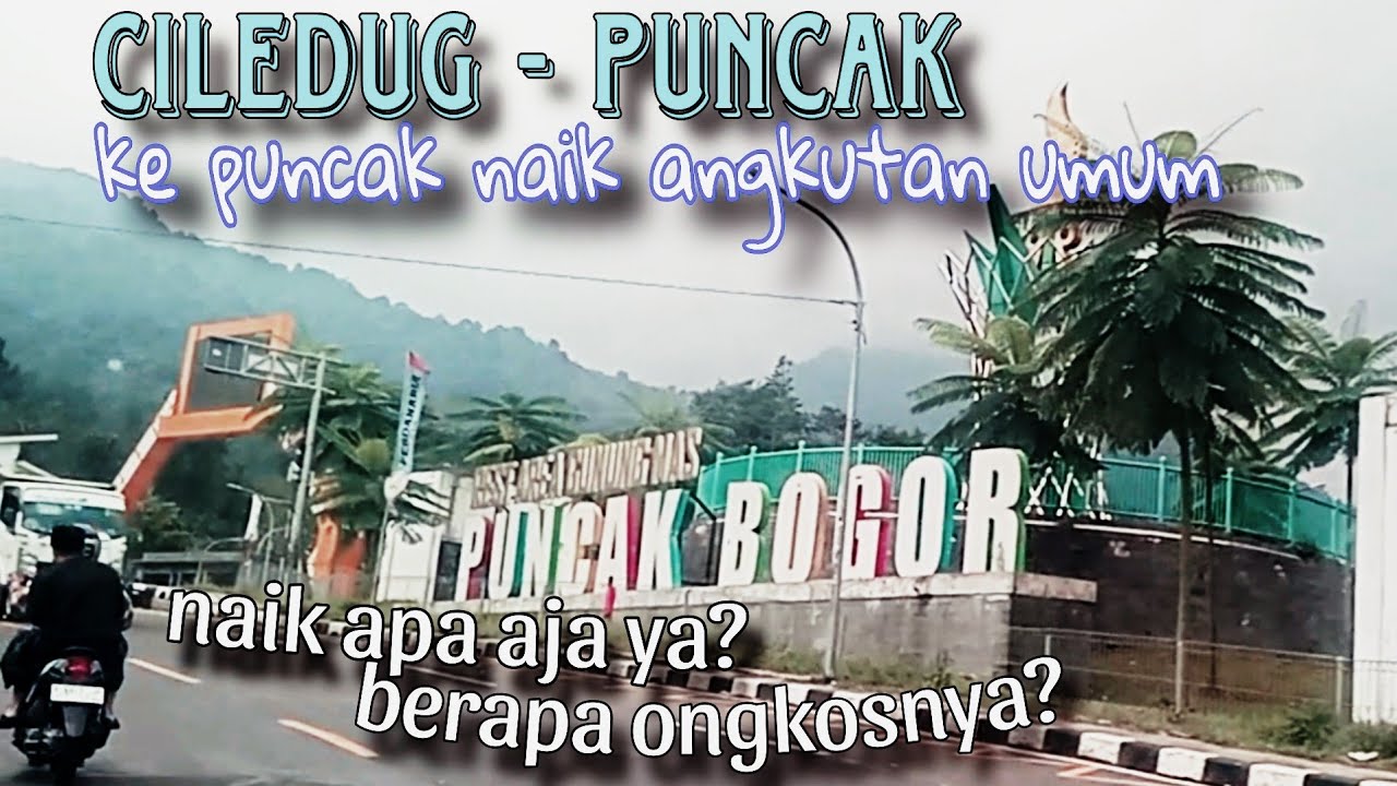 Ke Puncak Bogor Naik Angkutan Umum