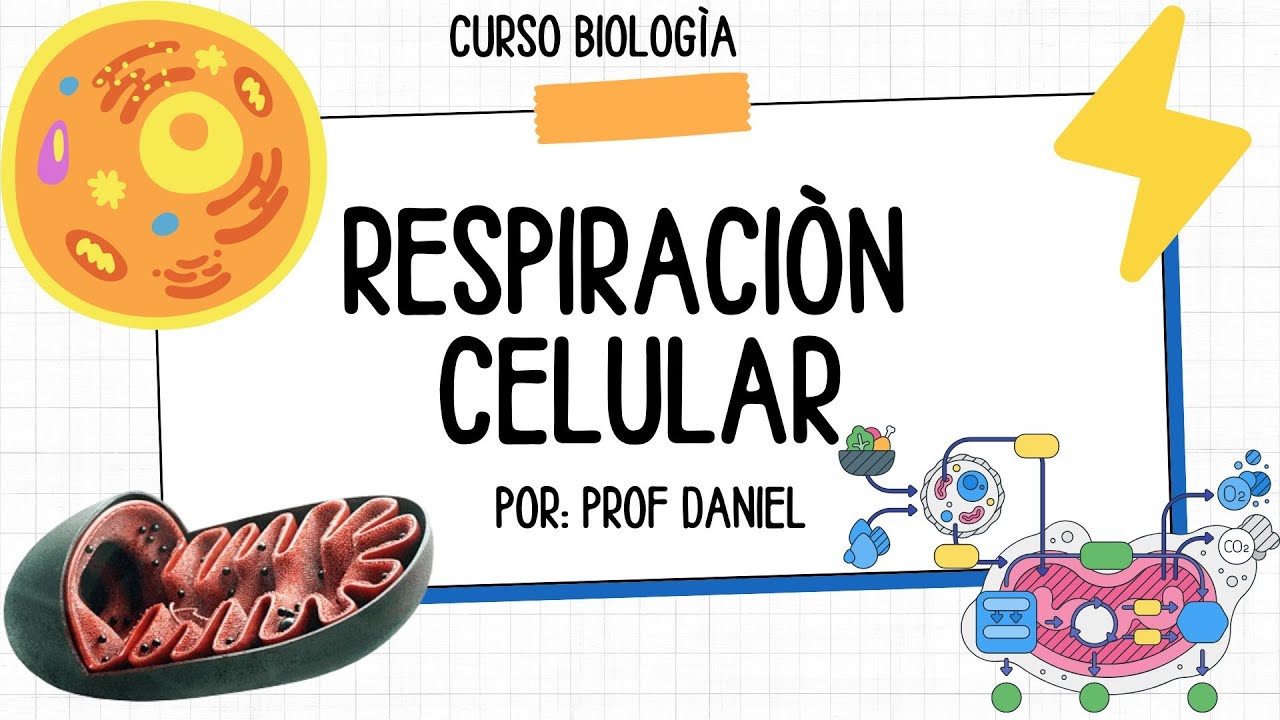 BIOATOMO - RESPIRACIÒN CELULAR