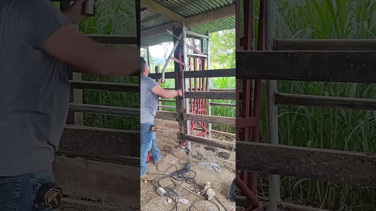 cepo ganadero🧑&zwj;🏭🇨🇷