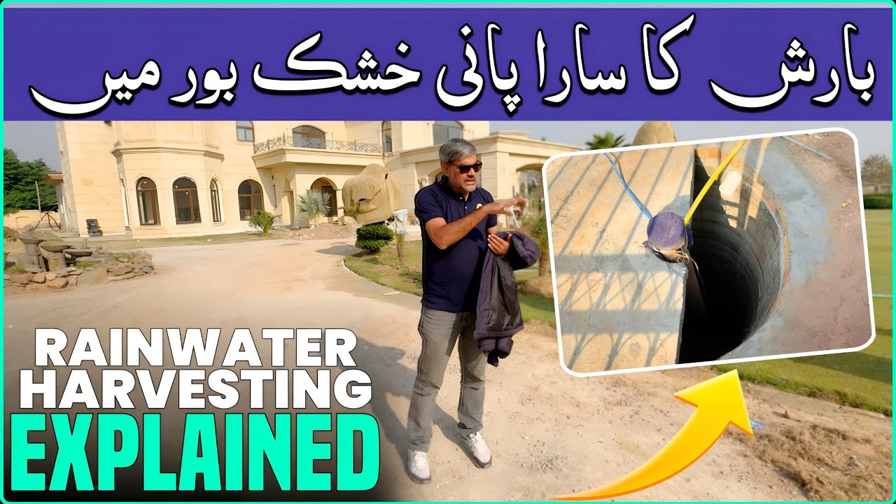 How We Saved Rainwater in Islamabad | Borewell Recharged | Rainwater Harvesting Pakistan 