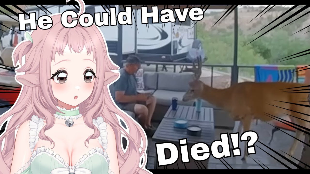 This is The Chillest Deer Ever!?