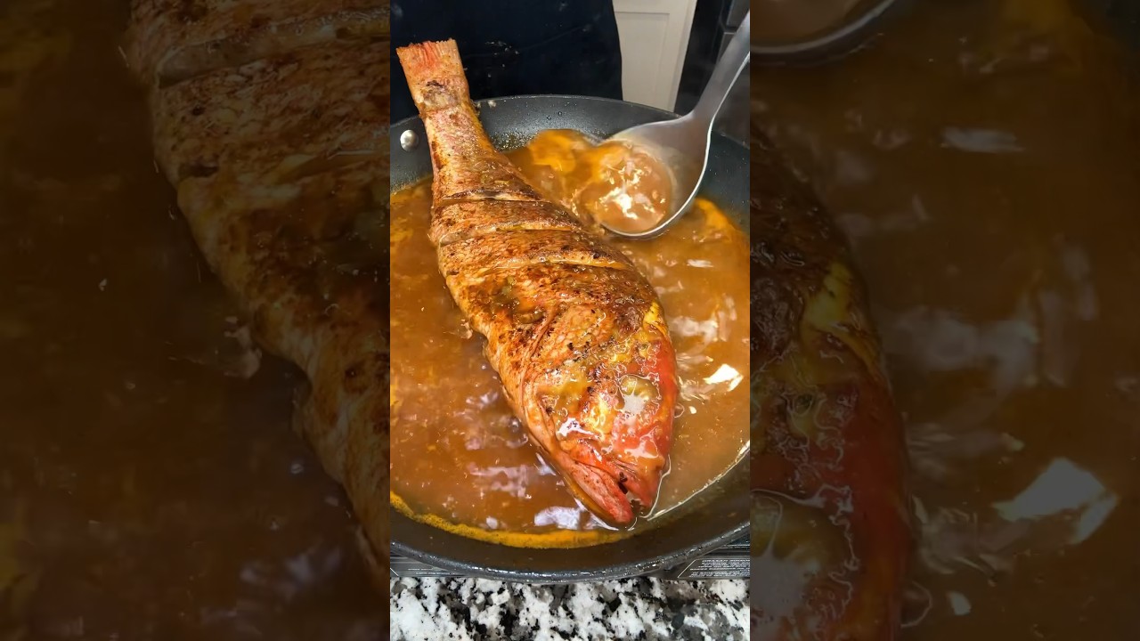 Haitian Snapper 🇭🇹🐟