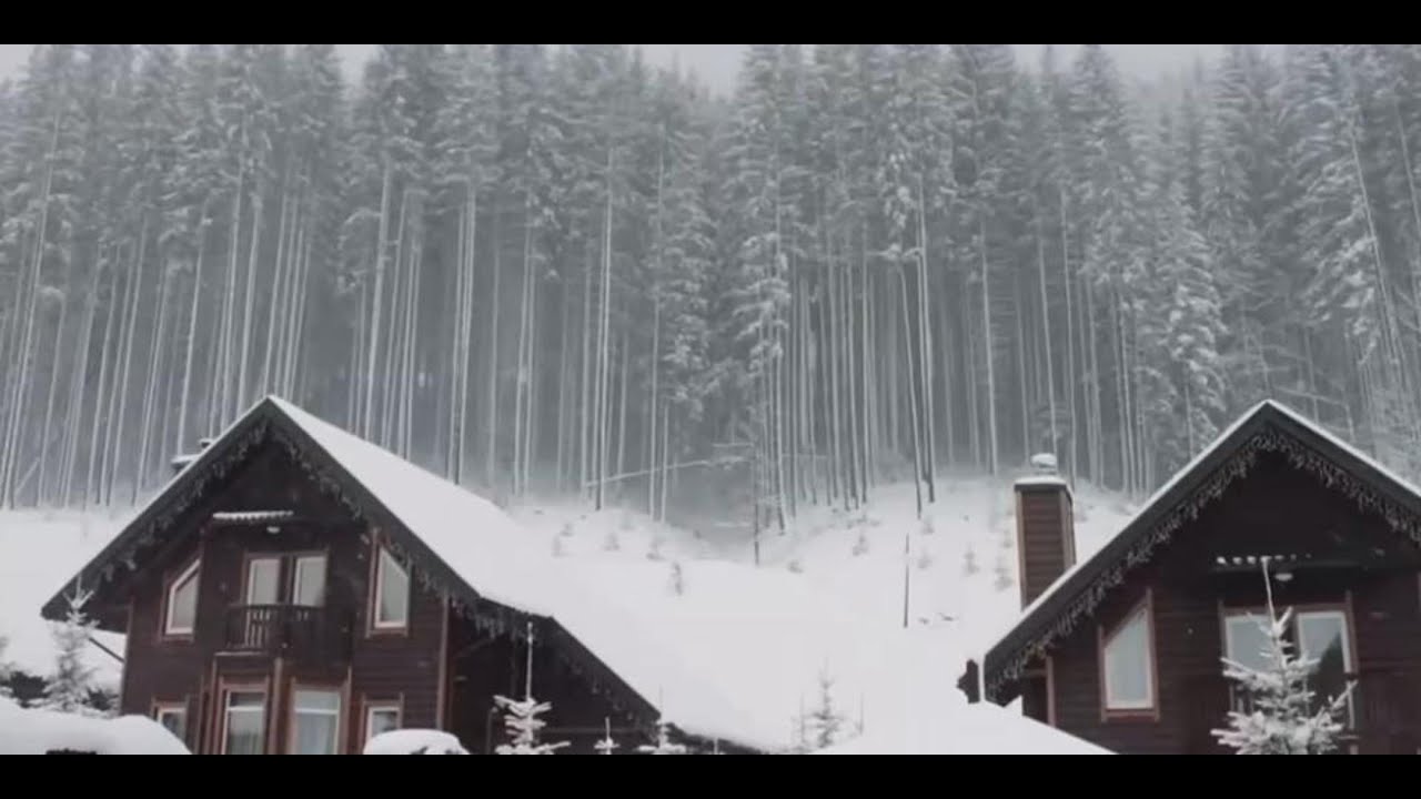 Blizzard White Noise ❄️ Heavy Snowstorm Sounds for Deep Sleep (11 Hours)