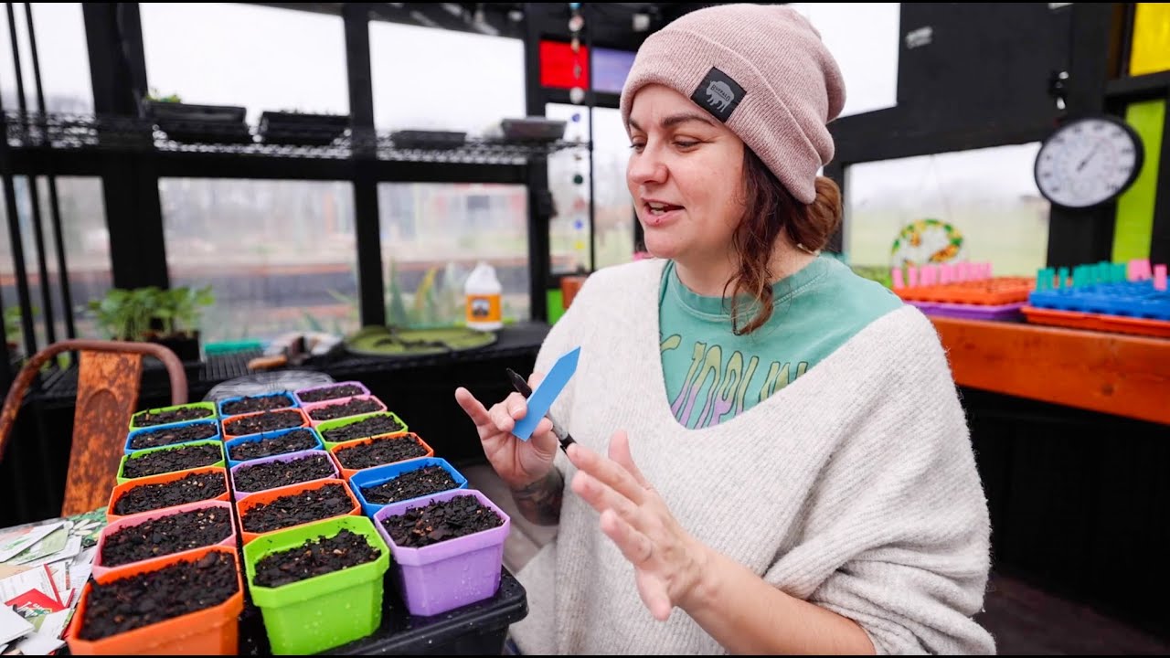 A garden full of basil (All The Possibilities) | VLOG