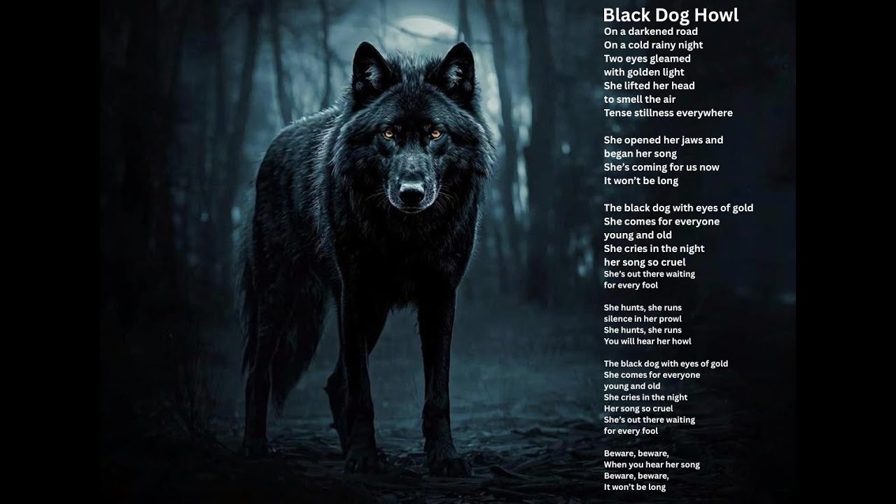 Black Dog Howl (with lyrics)