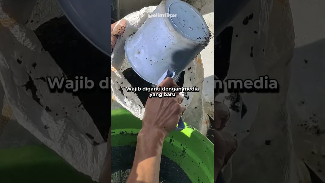 Proses penggantian media filter air tabung FRP #filterair