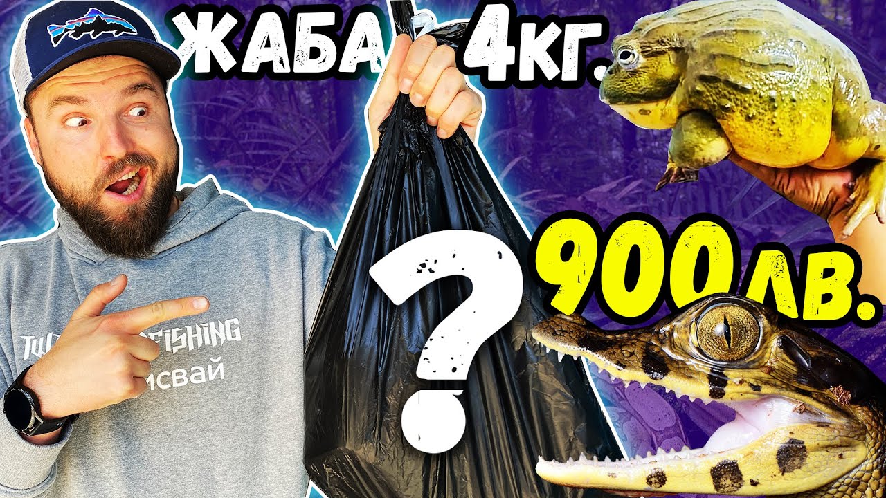 КУПУВАМ ЕКЗОТИЧНИ ЖИВОТНИ / РИБИ за аквариума!!!