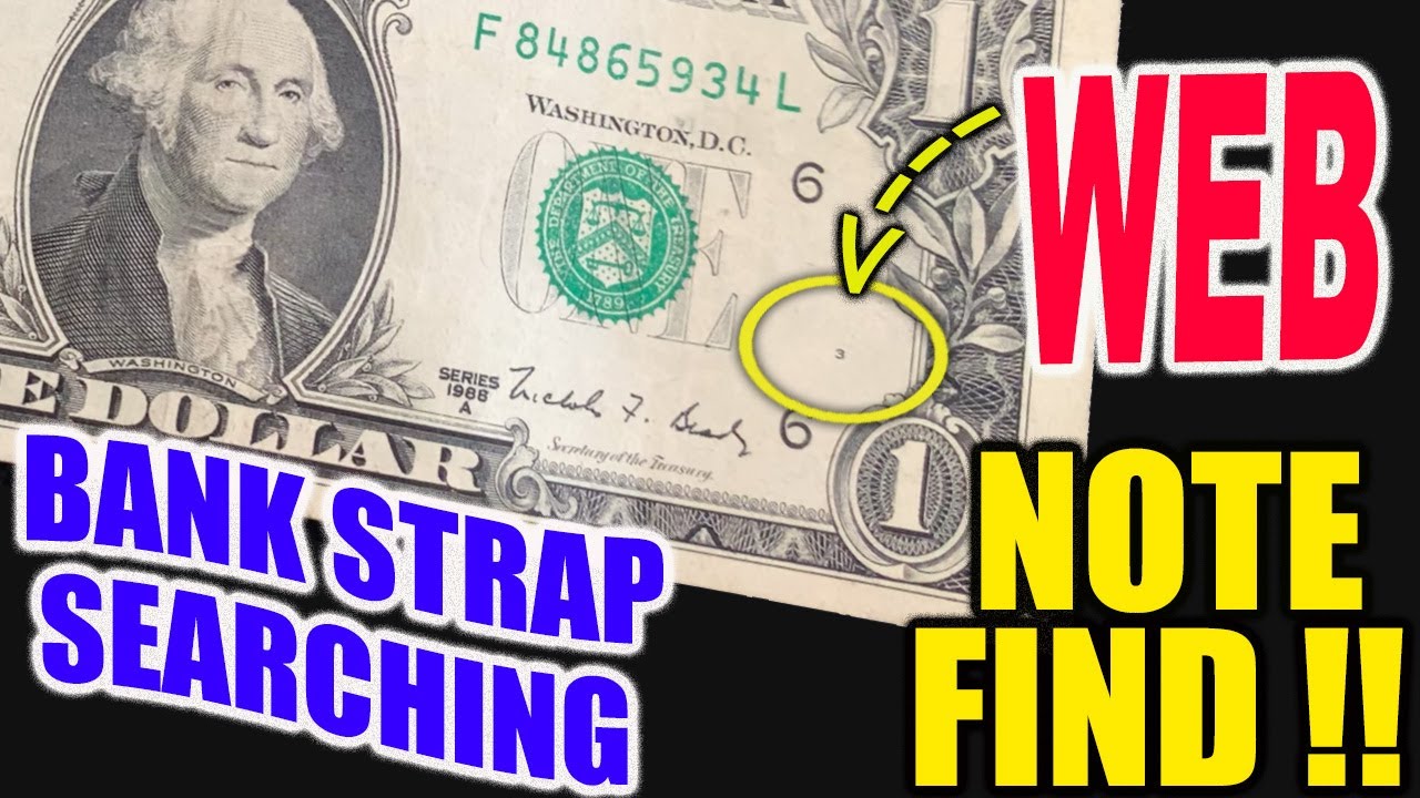 $300 Bank Strap Search – Web Note Discovery & Rare Star Note Found!