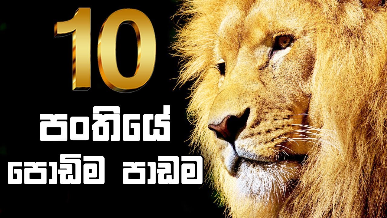 10 විද්‍යාව - 📝සම්ප්‍රයුක්ත බලය (9 පාඩම)📝