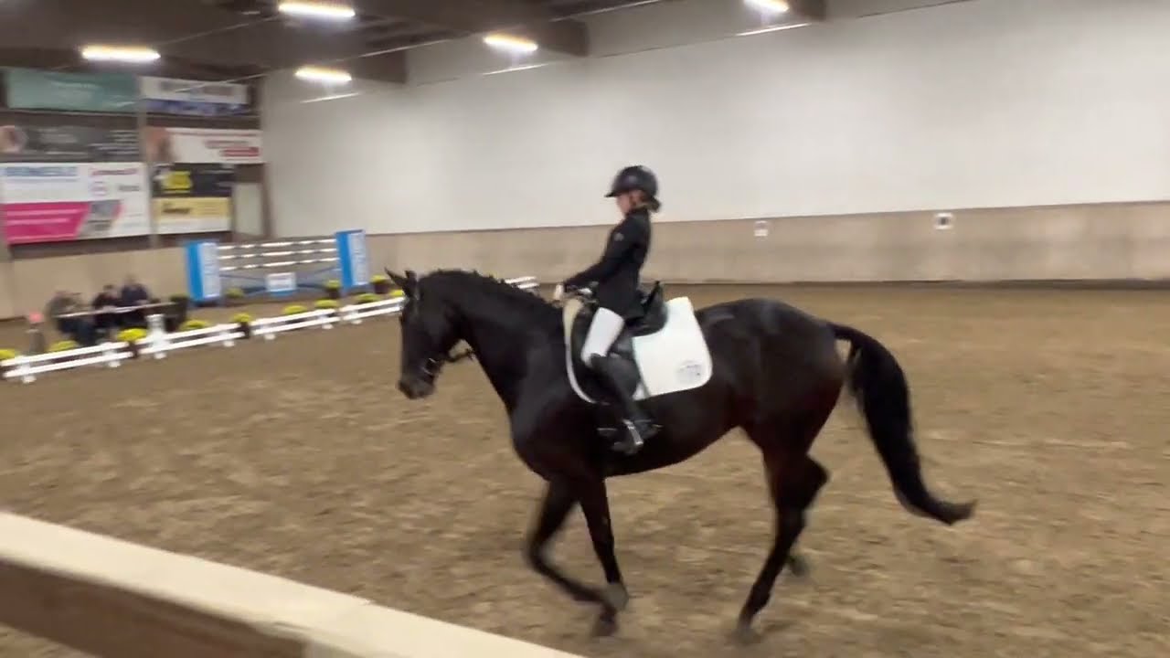 Sophie-Luise (10) - erste M-Dressur mit Felicia am 29.10.22 in Gellmersbach