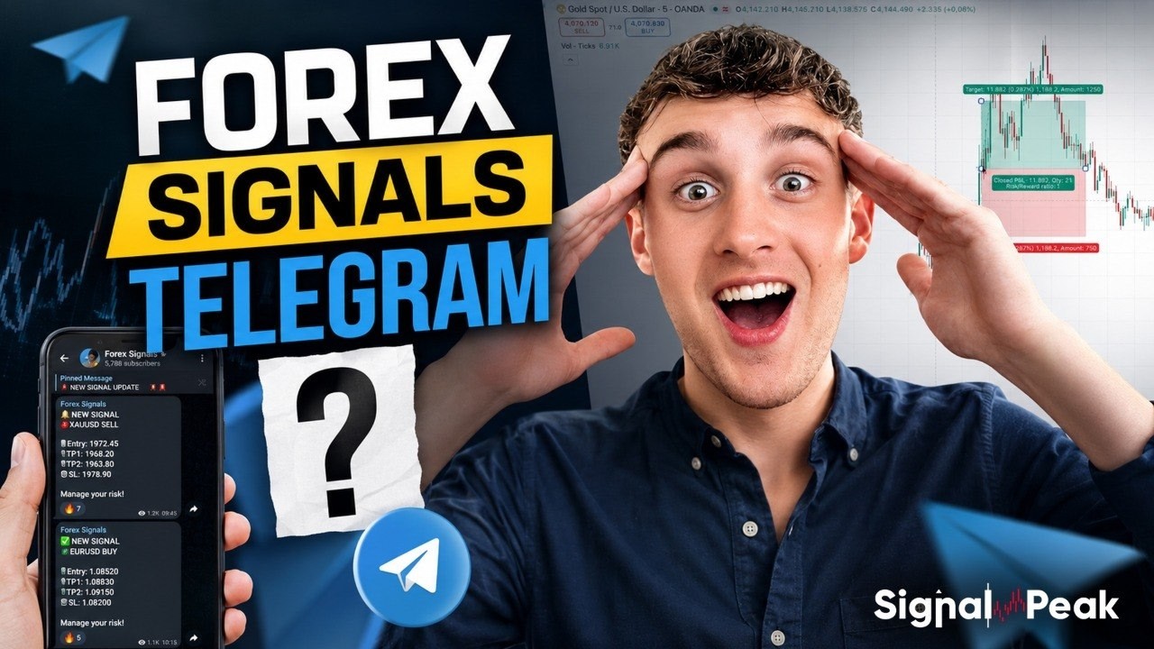 Forex Signals Telegram? Forex Signal for Beginners Guide (2026)